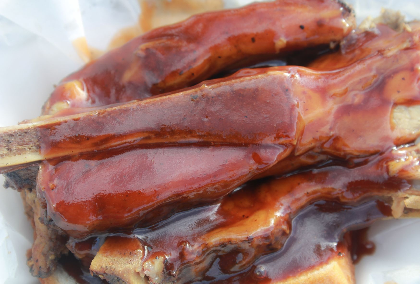 RIBMASTERS